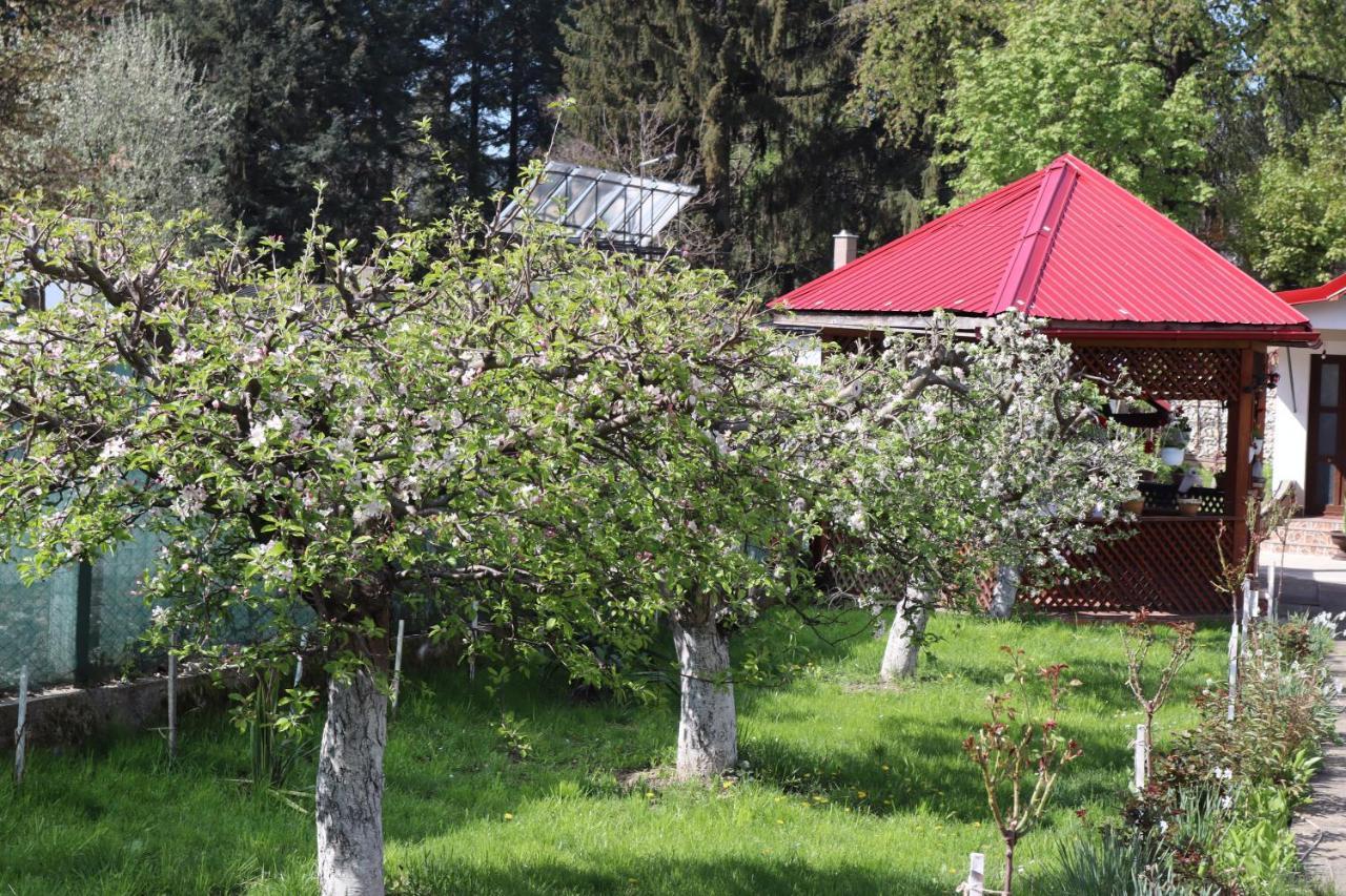 Accommodation Casa Luca هوريزو المظهر الخارجي الصورة